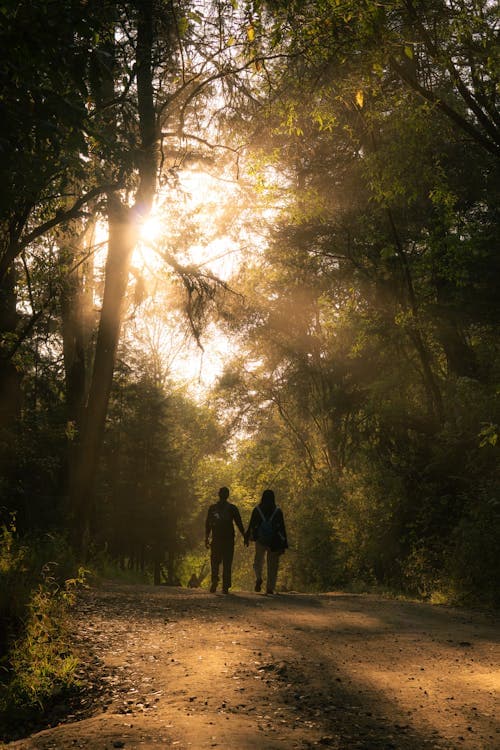 Couple walking through a sunlit forest trail