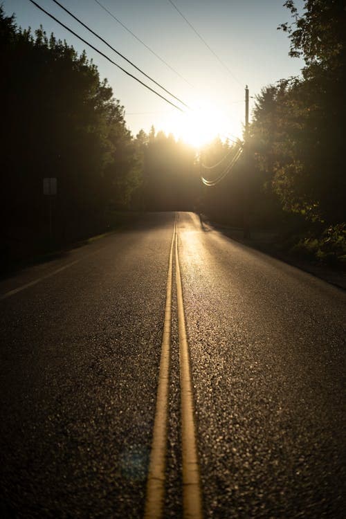 Scenic road at sunrise with golden light